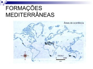 FORMAÇÕES
MEDITERRÂNEAS
 