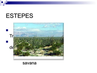 ESTEPES


    Transição entre

    deserto e

             .
          savana
 