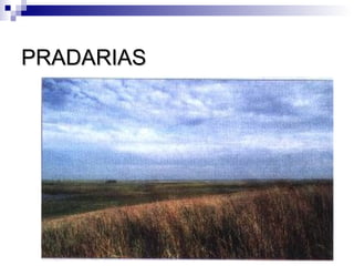 PRADARIAS
 