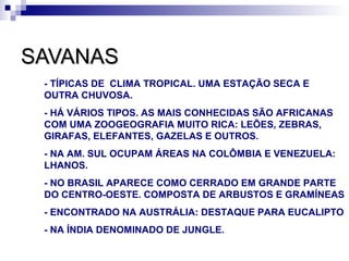 SAVANAS
 - TÍPICAS DE CLIMA TROPICAL. UMA ESTAÇÃO SECA E
 OUTRA CHUVOSA.
 - HÁ VÁRIOS TIPOS. AS MAIS CONHECIDAS SÃO AFRICANAS
 COM UMA ZOOGEOGRAFIA MUITO RICA: LEÕES, ZEBRAS,
 GIRAFAS, ELEFANTES, GAZELAS E OUTROS.
 - NA AM. SUL OCUPAM ÁREAS NA COLÔMBIA E VENEZUELA:
 LHANOS.
 - NO BRASIL APARECE COMO CERRADO EM GRANDE PARTE
 DO CENTRO-OESTE. COMPOSTA DE ARBUSTOS E GRAMÍNEAS
 - ENCONTRADO NA AUSTRÁLIA: DESTAQUE PARA EUCALIPTO
 - NA ÍNDIA DENOMINADO DE JUNGLE.
 