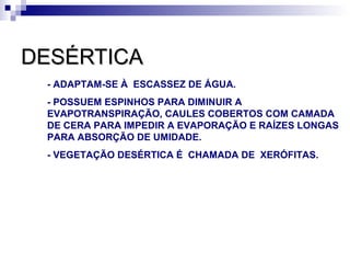 DESÉRTICA
 - ADAPTAM-SE À ESCASSEZ DE ÁGUA.
 - POSSUEM ESPINHOS PARA DIMINUIR A
 EVAPOTRANSPIRAÇÃO, CAULES COBERTOS COM CAMADA
 DE CERA PARA IMPEDIR A EVAPORAÇÃO E RAÍZES LONGAS
 PARA ABSORÇÃO DE UMIDADE.
 - VEGETAÇÃO DESÉRTICA É CHAMADA DE XERÓFITAS.
 
