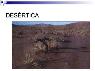 DESÉRTICA
 