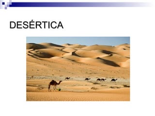 DESÉRTICA
 
