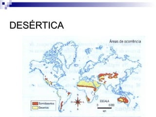 DESÉRTICA
 