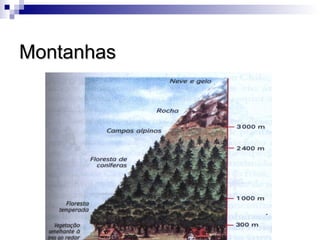 Montanhas
 