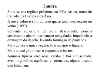 Tundra
Situa-se nas regiões próximas ao Pólo Ártico, norte do
Canadá, da Europa e da Ásia.
A neve cobre o solo durante quase todo ano, exceto no
verão (10°C).
Somente superfície do solo descongela, poucos
centímetros abaixo permanece congelado, impedindo a
drenagem do degelo, levando formação de pântanos.
Mais ao norte única vegetação é musgos e líquens.
Mais ao sul gramíneas e pequenos arbustos.
Animais típicos são: rena, caribu e boi almiscarado,
aves migratórias aquáticas e pernaltas, alguns insetos
que hibernam.
 