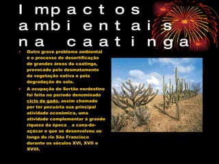 Impactos ambientais na caatinga Outro grave problema ambiental é o processo de desertificação de grandes áreas da caatinga, provocado pelo desmatamento da vegetação nativa e pela degradação do solo. A ocupação do Sertão nordestino foi feita no período denominado  ciclo de gado , assim chamado por ter pecuária sua principal atividade econômica, uma atividade complementar á grande riqueza da época _ a cana-de-açúcar e que se desenvolveu ao longo do rio São Francisco durante os séculos XVI, XVII e XVIII. 