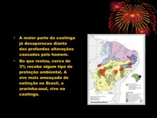 A maior parte da caatinga já desapareceu diante das profundas alterações causadas pelo homem. Do que restou, cerca de 3% recebe algum tipo de proteção ambiental. A ave mais ameaçada de extinção no Brasil, a ararinha-azul, vive na caatinga. 