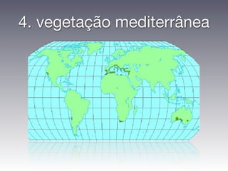 4. vegetação mediterrânea
 