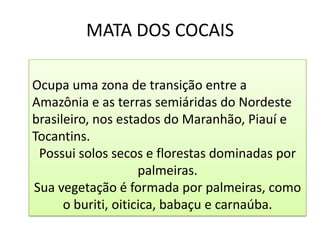 MATA DOS COCAIS

Ocupa uma zona de transição entre a
Amazônia e as terras semiáridas do Nordeste
brasileiro, nos estados do Maranhão, Piauí e
Tocantins.
 Possui solos secos e florestas dominadas por
                     palmeiras.
Sua vegetação é formada por palmeiras, como
      o buriti, oiticica, babaçu e carnaúba.
 