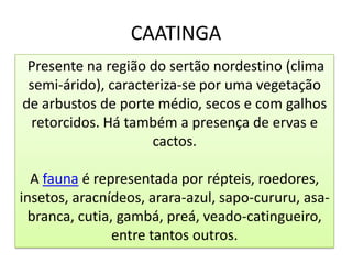 CAATINGA
 Presente na região do sertão nordestino (clima
 semi-árido), caracteriza-se por uma vegetação
de arbustos de porte médio, secos e com galhos
 retorcidos. Há também a presença de ervas e
                     cactos.

  A fauna é representada por répteis, roedores,
insetos, aracnídeos, arara-azul, sapo-cururu, asa-
  branca, cutia, gambá, preá, veado-catingueiro,
                entre tantos outros.
 