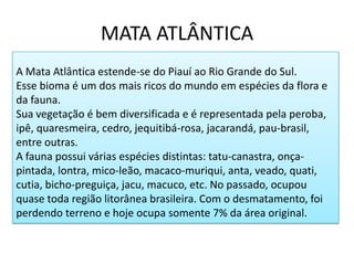 MATA ATLÂNTICA
A Mata Atlântica estende-se do Piauí ao Rio Grande do Sul.
Esse bioma é um dos mais ricos do mundo em espécies da flora e
da fauna.
Sua vegetação é bem diversificada e é representada pela peroba,
ipê, quaresmeira, cedro, jequitibá-rosa, jacarandá, pau-brasil,
entre outras.
A fauna possui várias espécies distintas: tatu-canastra, onça-
pintada, lontra, mico-leão, macaco-muriqui, anta, veado, quati,
cutia, bicho-preguiça, jacu, macuco, etc. No passado, ocupou
quase toda região litorânea brasileira. Com o desmatamento, foi
perdendo terreno e hoje ocupa somente 7% da área original.
 