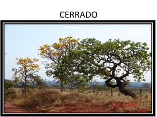 CERRADO
 