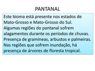 PANTANAL
Este bioma está presente nos estados de
Mato-Grosso e Mato-Grosso do Sul.
Algumas regiões do pantanal sofrem
alagamentos durante os períodos de chuvas.
Presença de gramíneas, arbustos e palmeiras.
Nas regiões que sofrem inundação, há
presença de árvores de floresta tropical.
 