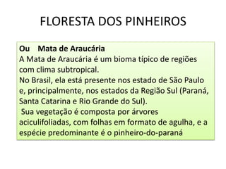 FLORESTA DOS PINHEIROS
Ou Mata de Araucária
A Mata de Araucária é um bioma típico de regiões
com clima subtropical.
No Brasil, ela está presente nos estado de São Paulo
e, principalmente, nos estados da Região Sul (Paraná,
Santa Catarina e Rio Grande do Sul).
 Sua vegetação é composta por árvores
aciculifoliadas, com folhas em formato de agulha, e a
espécie predominante é o pinheiro-do-paraná
 