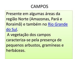 CAMPOS
Presente em algumas áreas da
região Norte (Amazonas, Pará e
Roraimã) e também no Rio Grande
do Sul.
 A vegetação dos campos
caracteriza-se pela presença de
pequenos arbustos, gramíneas e
herbáceas.
 