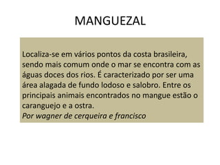 MANGUEZAL

Localiza-se em vários pontos da costa brasileira,
sendo mais comum onde o mar se encontra com as
águas doces dos rios. É caracterizado por ser uma
área alagada de fundo lodoso e salobro. Entre os
principais animais encontrados no mangue estão o
caranguejo e a ostra.
Por wagner de cerqueira e francisco
 