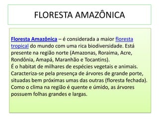 FLORESTA AMAZÔNICA

Floresta Amazônica – é considerada a maior floresta
tropical do mundo com uma rica biodiversidade. Está
presente na região norte (Amazonas, Roraima, Acre,
Rondônia, Amapá, Maranhão e Tocantins).
É o habitat de milhares de espécies vegetais e animais.
Caracteriza-se pela presença de árvores de grande porte,
situadas bem próximas umas das outras (floresta fechada).
Como o clima na região é quente e úmido, as árvores
possuem folhas grandes e largas.
 