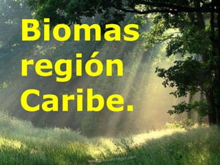 Biomas
región
Caribe.
 