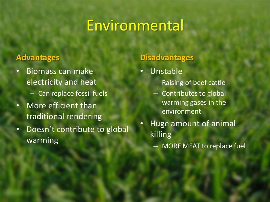 Biomass Energy