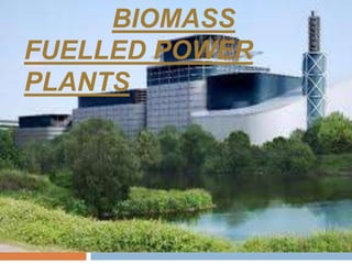 BIOMASS
FUELLED POWER
PLANTS
 