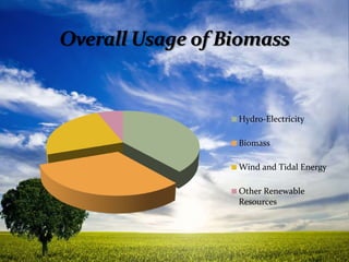 Hydro-Electricity 
Biomass 
Wind and Tidal Energy 
Other Renewable 
Resources 
 
