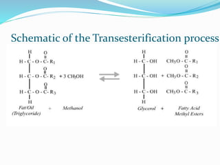 Schematic of the Transesterification process
 