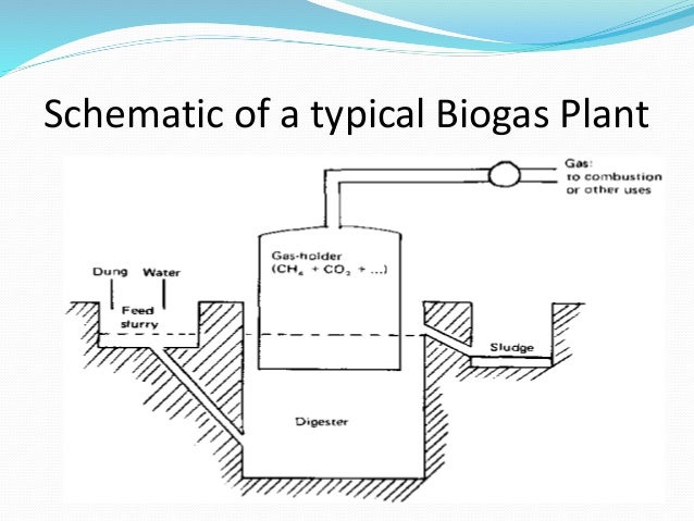 Biomass