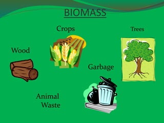 BIOMASS
TreesCrops
Garbage
Animal
Waste
Wood
 