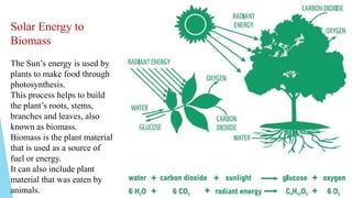 Solar Energy to
Biomass
The Sun’s energy is used by
plants to make food through
photosynthesis.
This process helps to build
the plant’s roots, stems,
branches and leaves, also
known as biomass.
Biomass is the plant material
that is used as a source of
fuel or energy.
It can also include plant
material that was eaten by
animals.
 