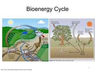 Biomass | PPTX
