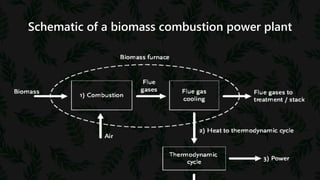 Schematic of a biomass combustion power plant
 