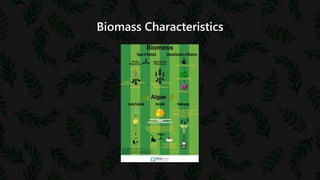 Biomass Characteristics
 
