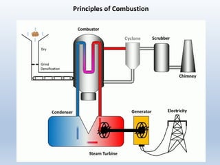 Principles of Combustion
 