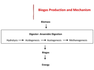 Biogas Production and Mechanism
 