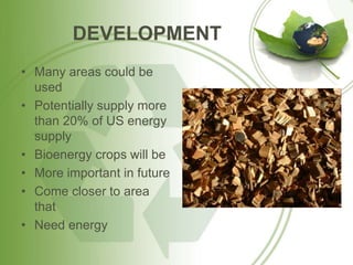 DEVELOPMENT
• Many areas could be
used
• Potentially supply more
than 20% of US energy
supply
• Bioenergy crops will be
• More important in future
• Come closer to area
that
• Need energy
 