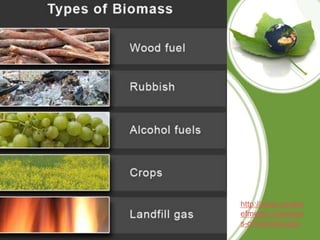 http://www.coralre
efmedia.com/type
s-of-biomass.jpg
 