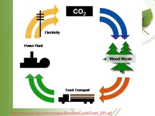 http://www.renegy.com/images/BiomassCycleChart_001.gif
 