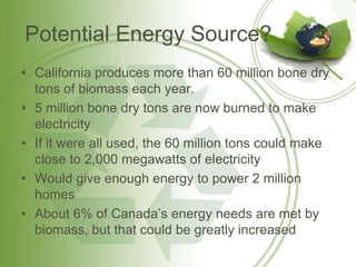 Potential Energy Source?
• California produces more than 60 million bone dry
tons of biomass each year.
• 5 million bone dry tons are now burned to make
electricity
• If it were all used, the 60 million tons could make
close to 2,000 megawatts of electricity
• Would give enough energy to power 2 million
homes
• About 6% of Canada’s energy needs are met by
biomass, but that could be greatly increased
 