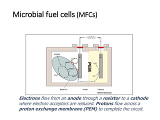 Microbial fuel cells (MFCs)
Electrons flow from an anode through a resistor to a cathode
where electron acceptors are reduced. Protons flow across a
proton exchange membrane (PEM) to complete the circuit.
PEM
 