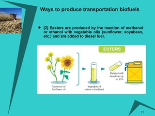 Ways to produce transportation biofuels [2] Easters are produced by the reaction of methanol or ethanol with vegetable oils (sunflower, soyabean, etc.) and are added to diesel fuel. 