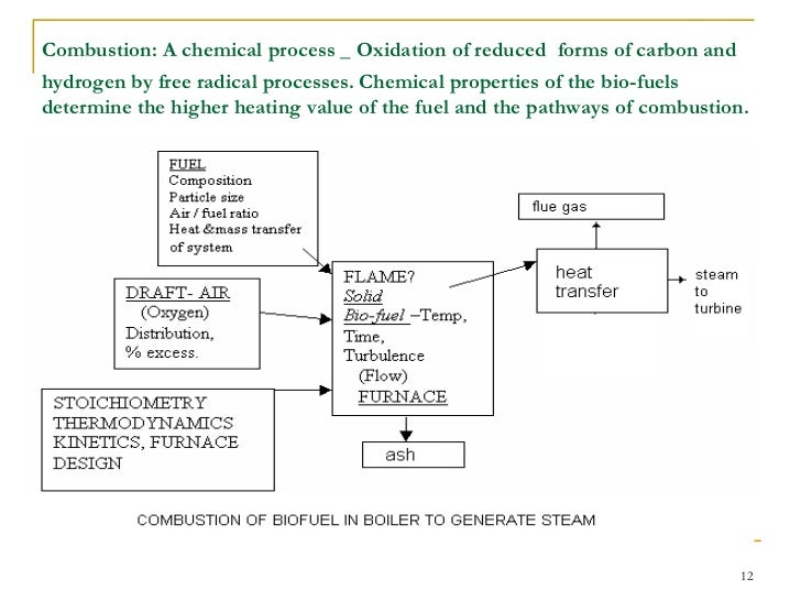 Biomass combustion