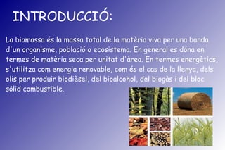 INTRODUCCIÓ:
La biomassa és la massa total de la matèria viva per una banda
d'un organisme, població o ecosistema. En general es dóna en
termes de matèria seca per unitat d'àrea. En termes energètics,
s'utilitza com energia renovable, com és el cas de la llenya, dels
olis per produir biodièsel, del bioalcohol, del biogàs i del bloc
sòlid combustible.
 