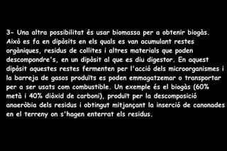 3- Una altra possibilitat és usar biomassa per a obtenir biogàs.
Això es fa en dipòsits en els quals es van acumulant restes
orgàniques, residus de collites i altres materials que poden
descompondre's, en un dipòsit al que es diu digestor. En aquest
dipòsit aquestes restes fermenten per l'acció dels microorganismes i
la barreja de gasos produïts es poden emmagatzemar o transportar
per a ser usats com combustible. Un exemple és el biogàs (60%
metà i 40% diòxid de carboni), produït per la descomposició
anaeròbia dels residus i obtingut mitjançant la inserció de canonades
en el terreny on s'hagen enterrat els residus.
 