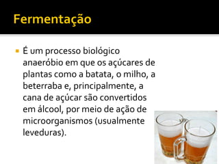    É um processo biológico
    anaeróbio em que os açúcares de
    plantas como a batata, o milho, a
    beterraba e, principalmente, a
    cana de açúcar são convertidos
    em álcool, por meio de ação de
    microorganismos (usualmente
    leveduras).
 