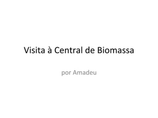 Visita à Central de Biomassa por Amadeu 