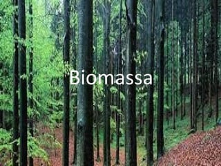 Biomassa
 