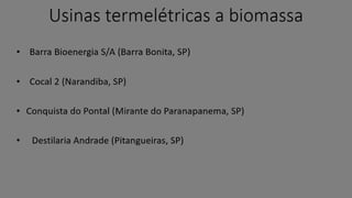 Biomassa