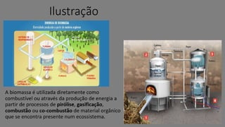 Biomassa