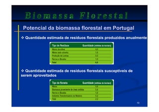 Biomassa Florestal